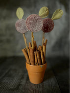 SugarPlumdrops